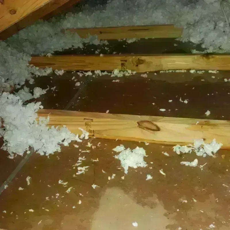 Attic Water Damage in Newport, RI